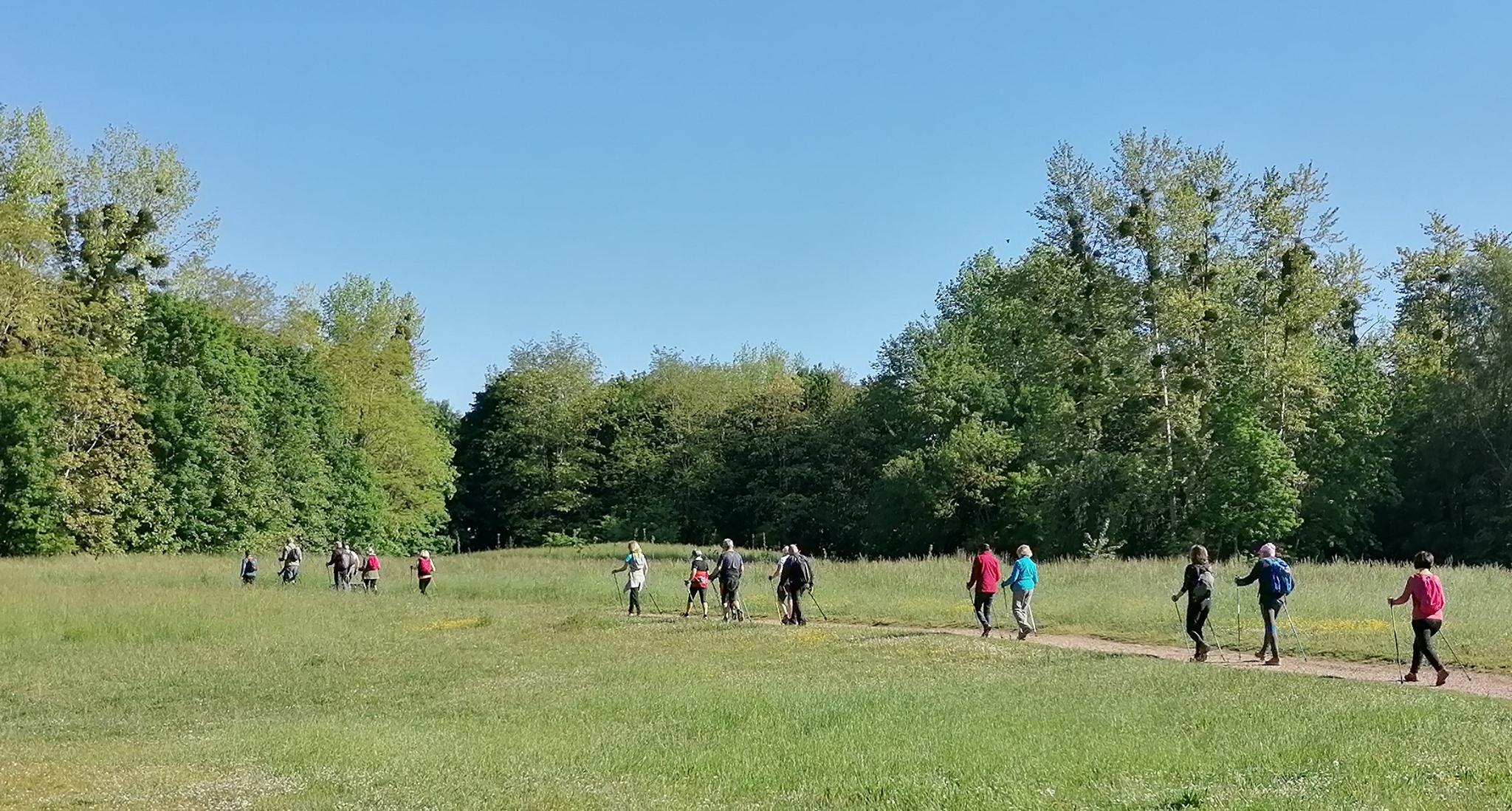 210527 MN etangs cergy MN