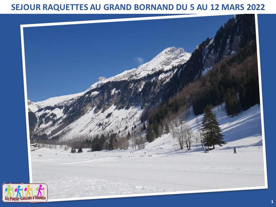 220305 12 raquettes grand bornand