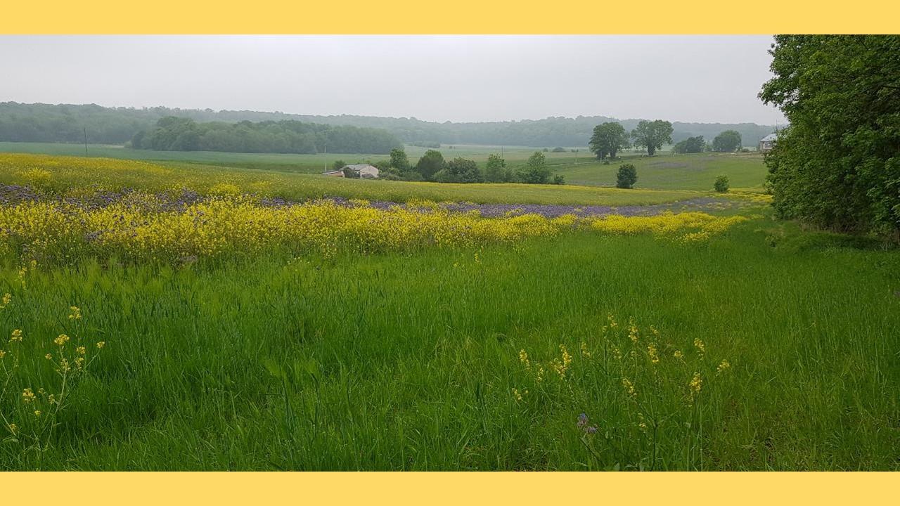 220508 RC moulin orgeval JL