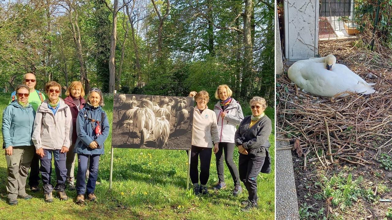 230416 RD bois neuville SO