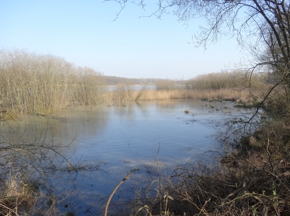 14 hollande lac 2