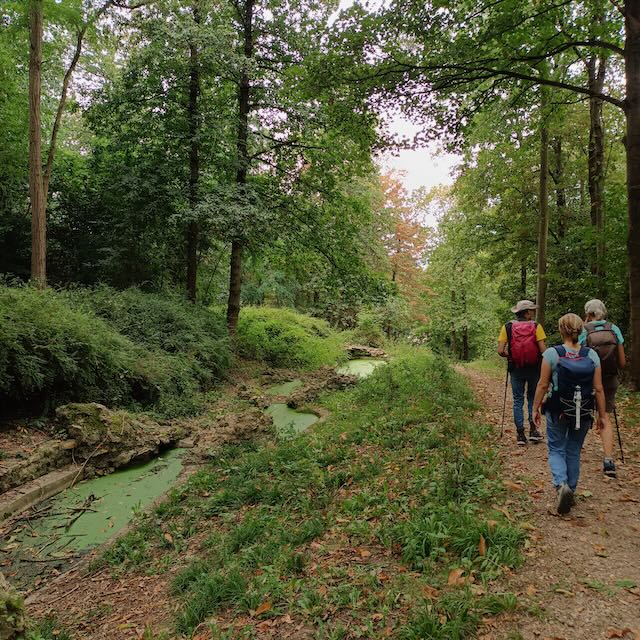la frette2